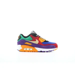Buty Nike Air Max 90 “Viotech” (CD0917-600)