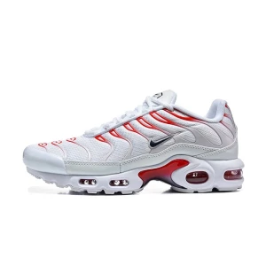 Buty Nike Air Max Plus “USA” (DM0032-034)