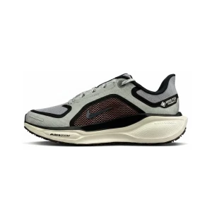 Buty Nike Pegasus 41 GORE-TEX “Szary / bordowy” (FQ1356-003)