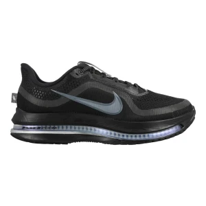 Buty Nike Pegasus Premium “Black Metallic” (HQ2592-005)