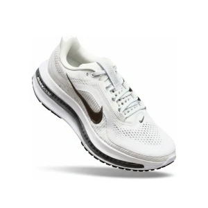 Buty Nike Pegasus Premium “White Metallic Silver” (HQ2592-102)