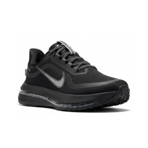 Buty Nike Pegasus Premium “Czarny / srebrny” (HQ2593-004)